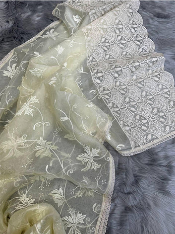 Superb Soft Refined Organza Silk Saree with Lucknowi Thread Chikankari & Viscose Work Border SA625-750