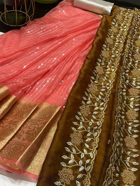Classic Look organza lehanga with sequencing lines & Pure weaving border