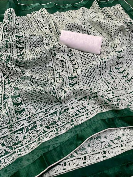 Premium Organza Lakhnavi work Saree with beautiful piping & Lace border