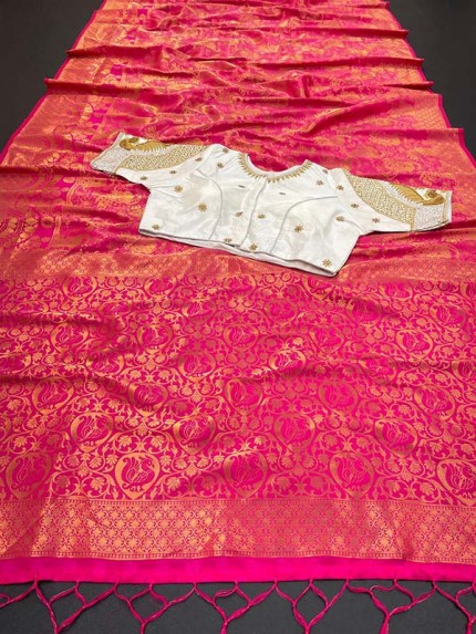 Pure Soft Silk Two Tone Kanjivaram Saree with Double Blouse Running Blouse