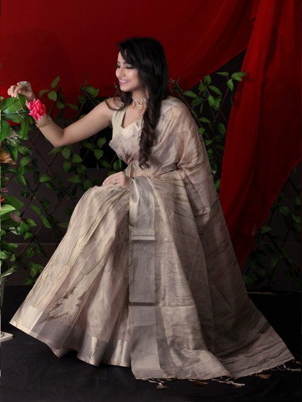 Orgenza Silk Saree with with silver zari woven border and pallu