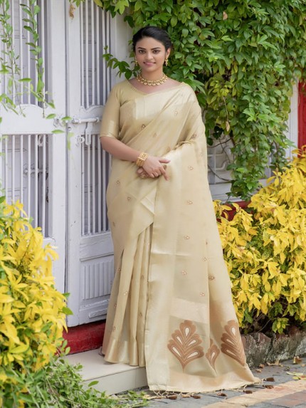 Pretty Look Linen tissue Saree with zari border & exclusive zari woven butti
