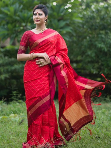 Soft Raw Silk Saree with contrast temple woven border & zari Pallu