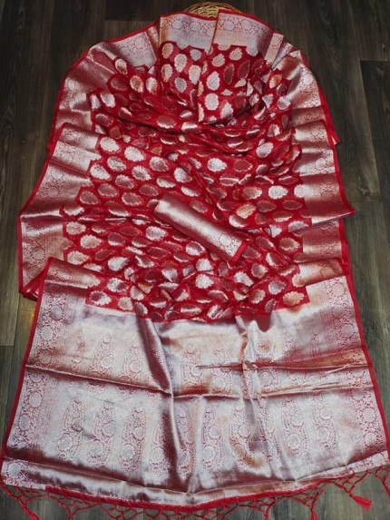 Eye-Catching Look Organza Silk weaving Saree with beautiful silver zari Butti